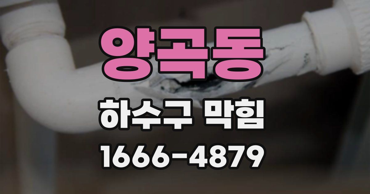 양곡동 하수구 막힘
