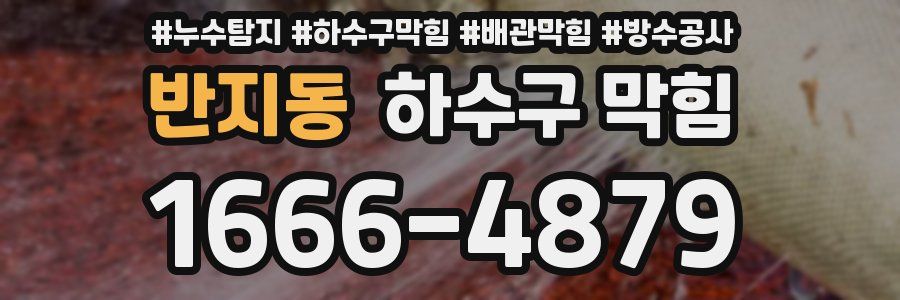 반지동 하수구 막힘