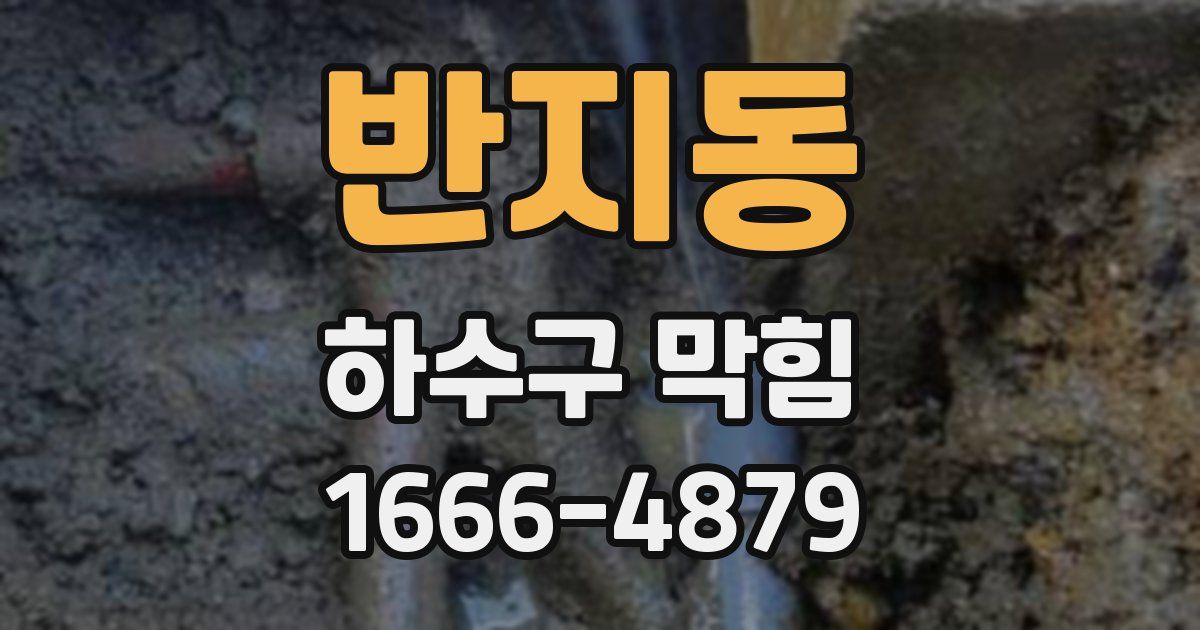 반지동 하수구 막힘
