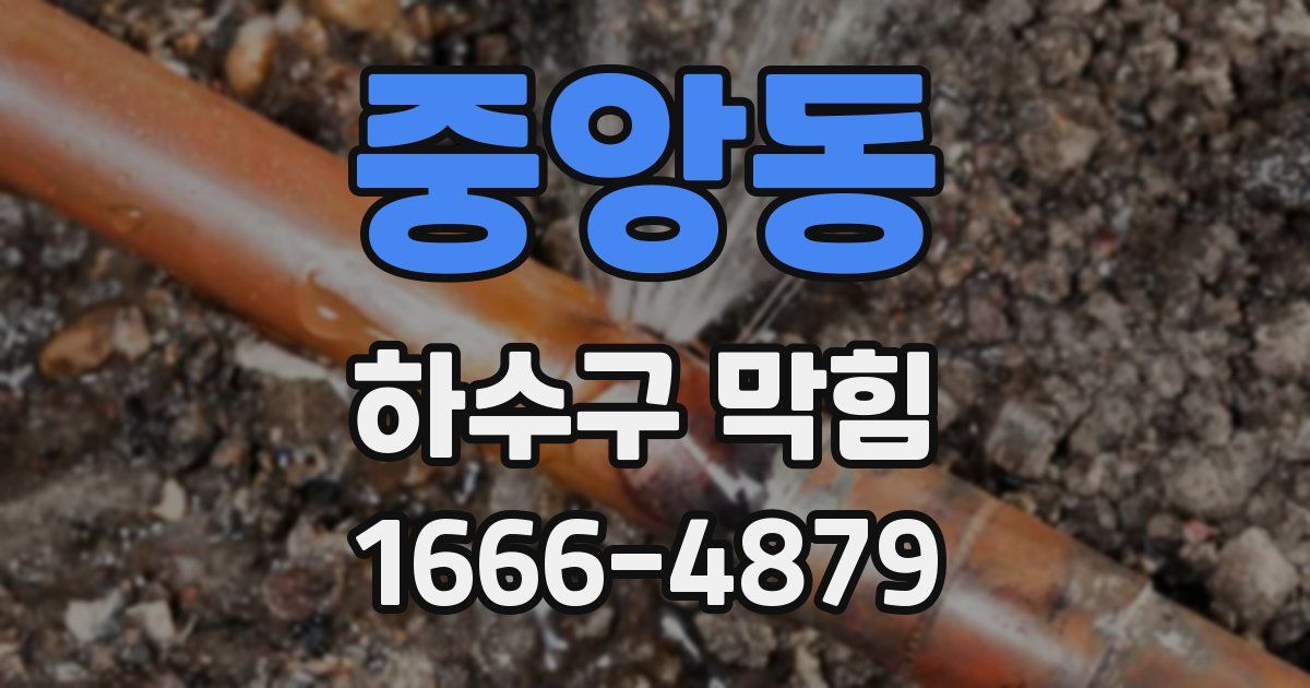 중앙동 하수구 막힘