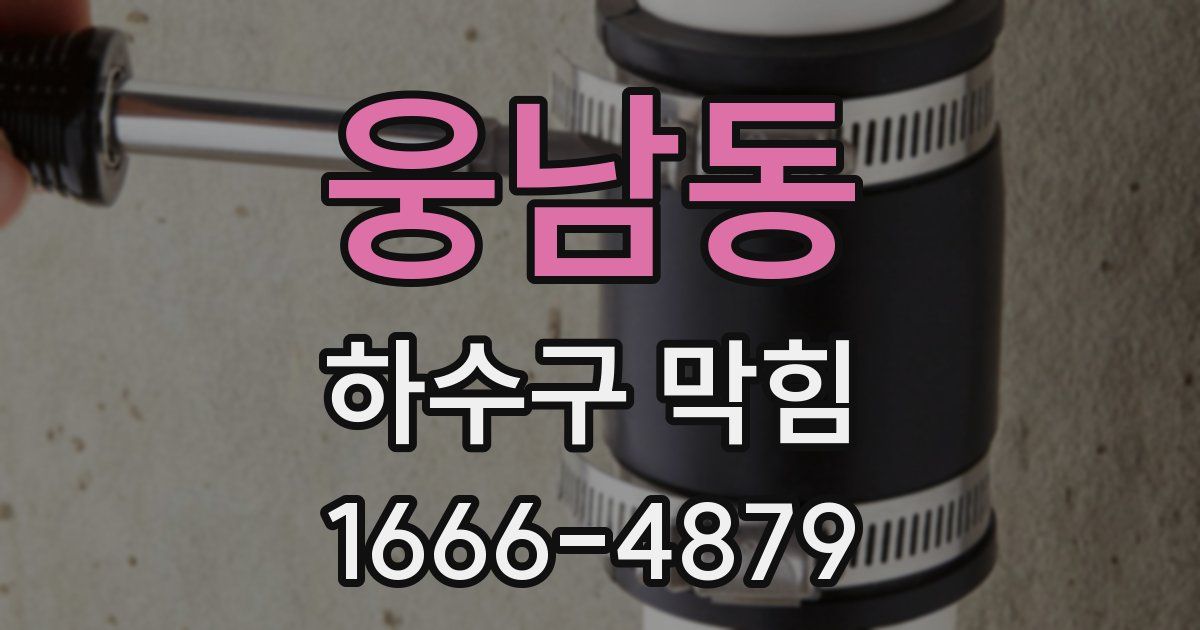웅남동 하수구 막힘