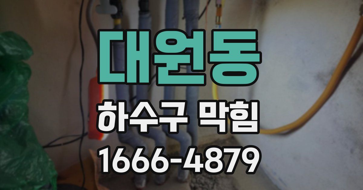 대원동 하수구 막힘