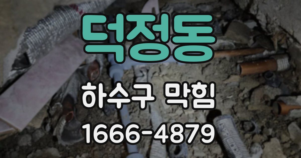 덕정동 하수구 막힘