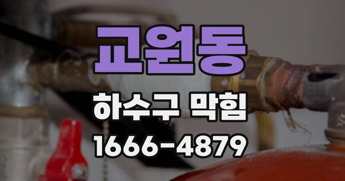 교원동 하수구 막힘
