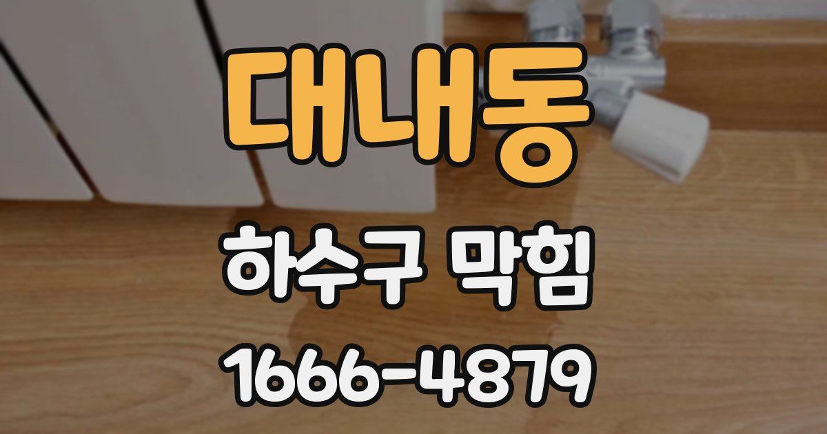 대내동 하수구 막힘