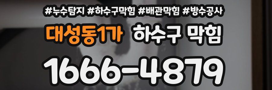 대성동1가 하수구 막힘