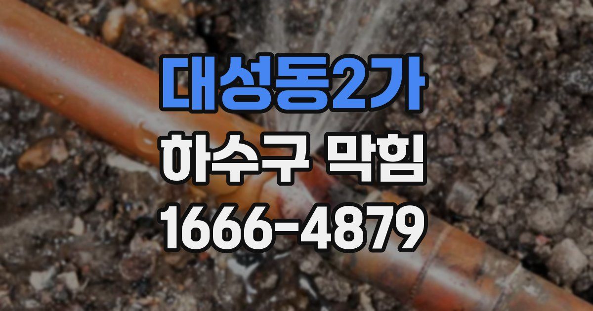 대성동2가 하수구 막힘