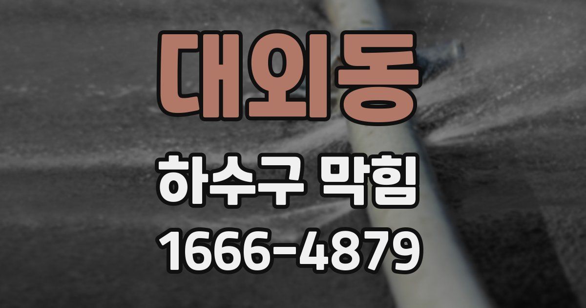 대외동 하수구 막힘