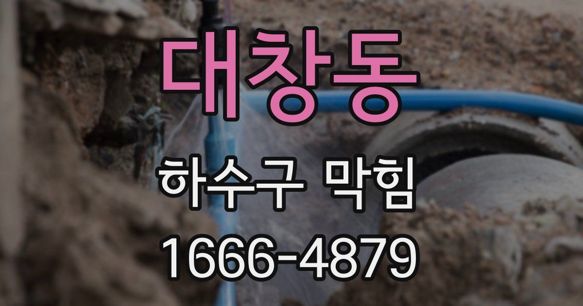대창동 하수구 막힘