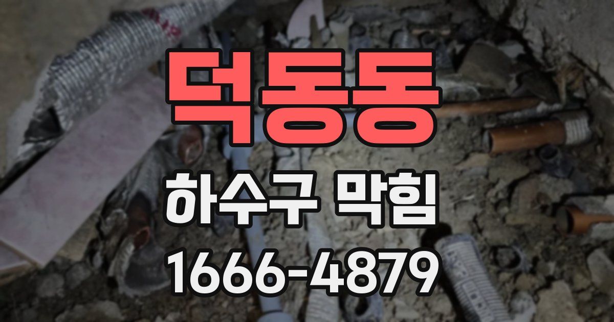 덕동동 하수구 막힘