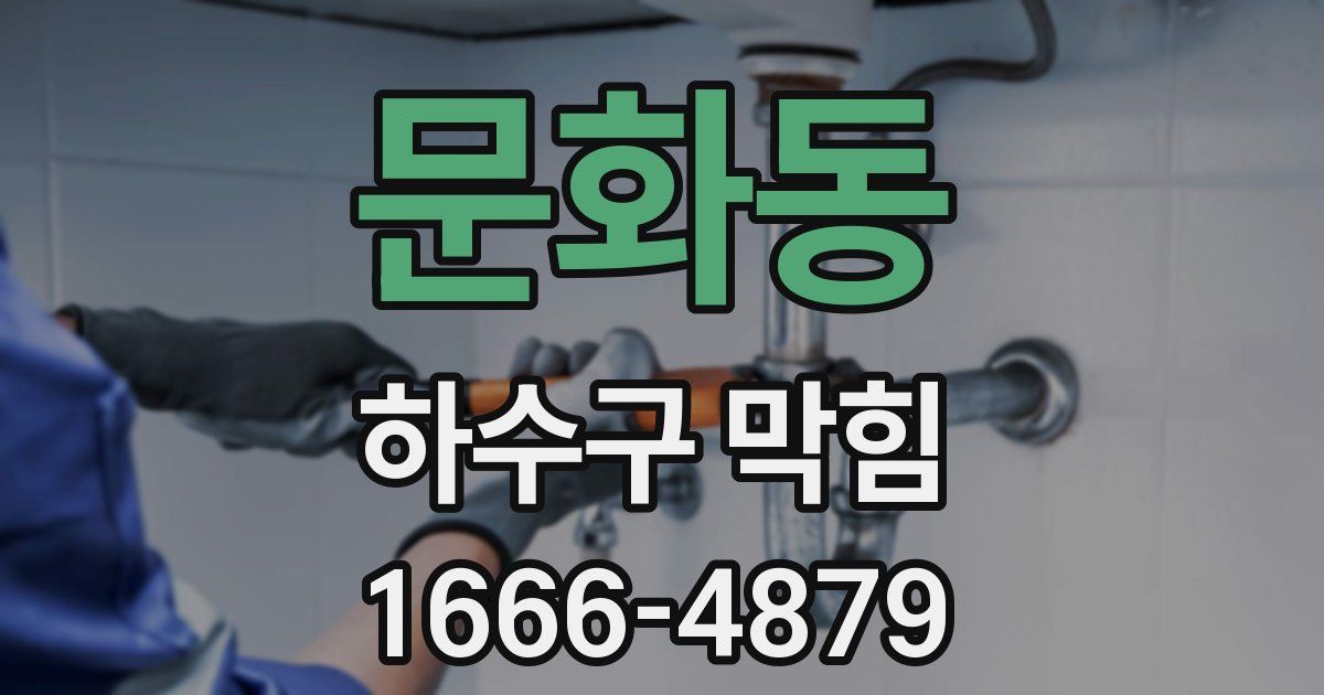 문화동 하수구 막힘