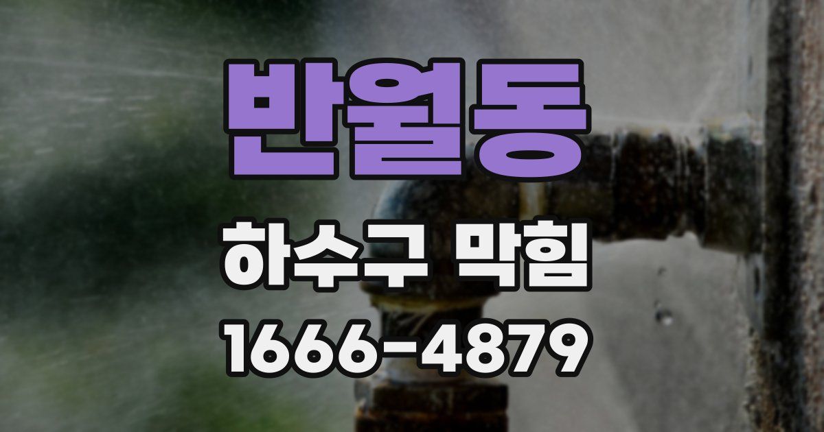 반월동 하수구 막힘