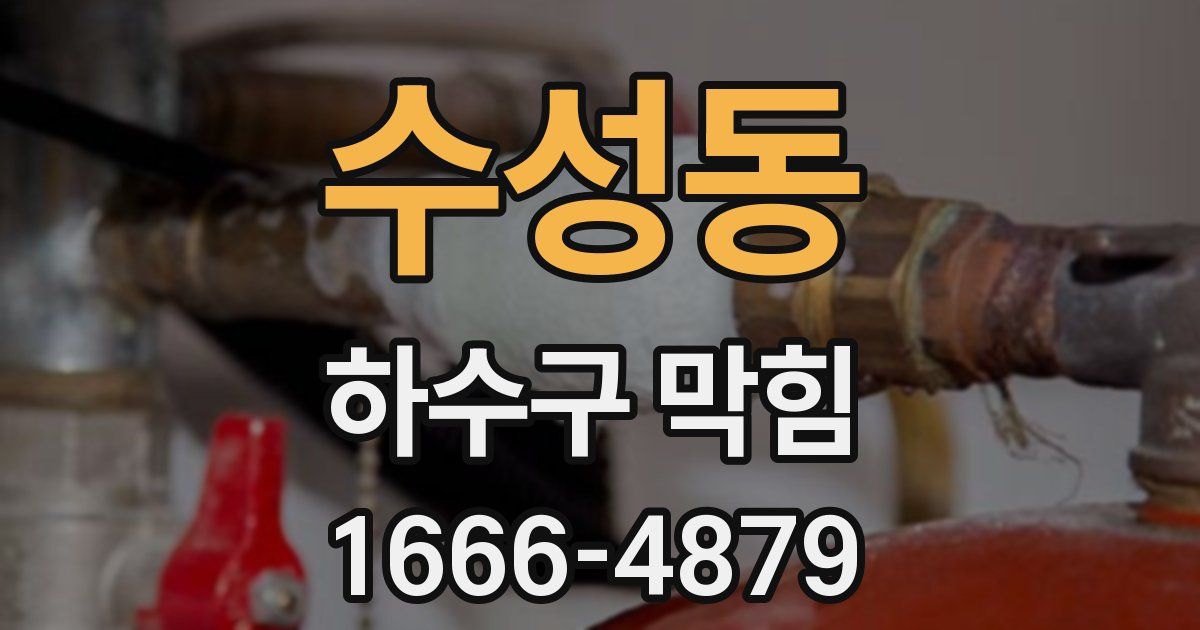 수성동 하수구 막힘