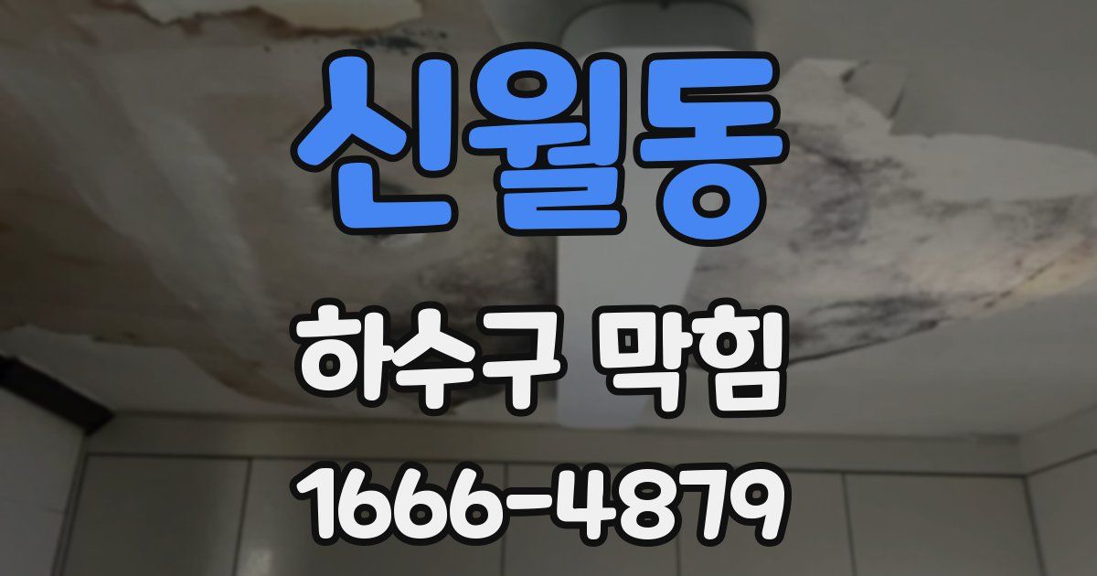 신월동 하수구 막힘