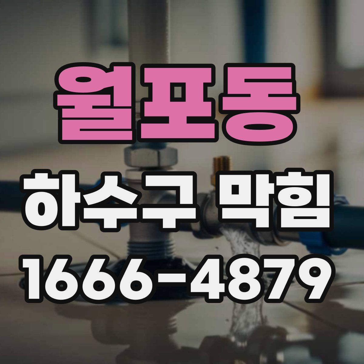월포동 하수구 막힘