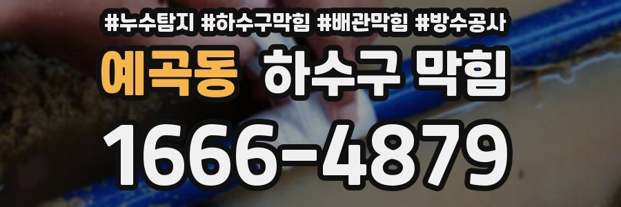 예곡동 하수구 막힘