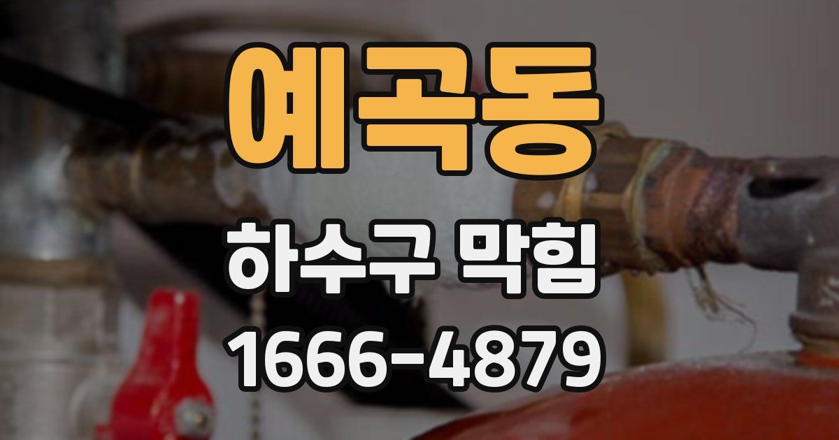 예곡동 하수구 막힘