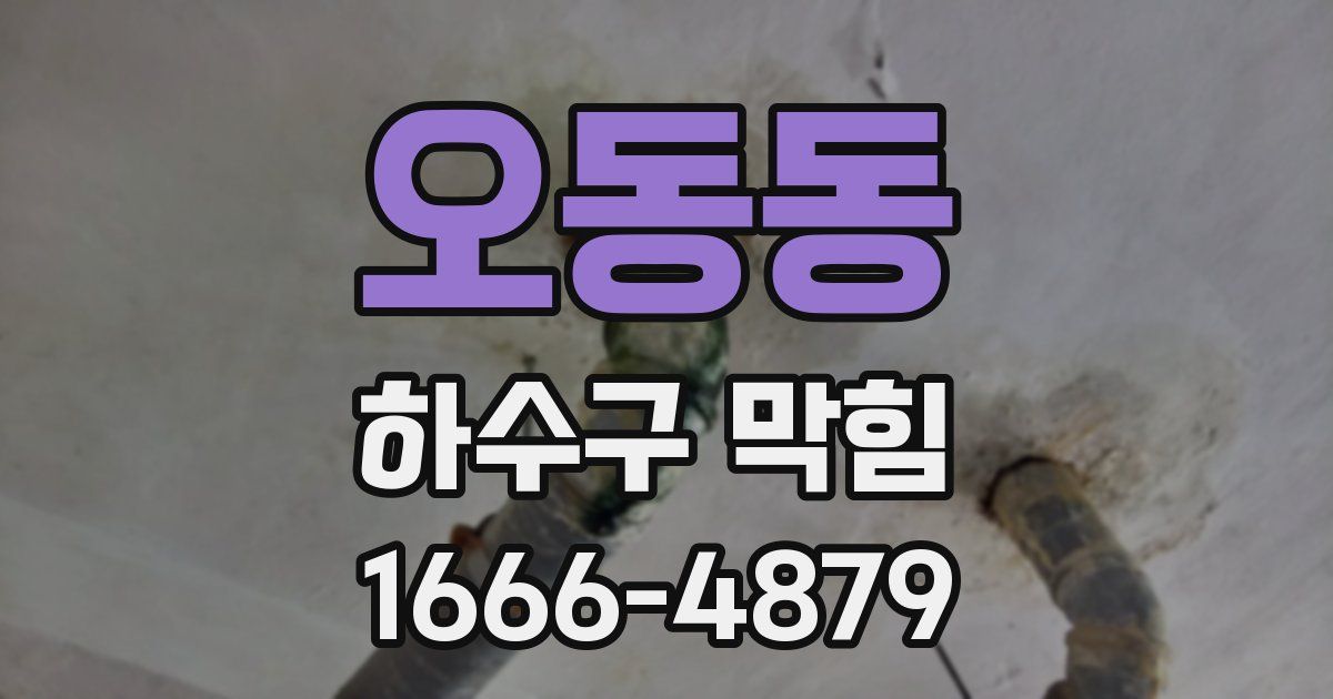 오동동 하수구 막힘