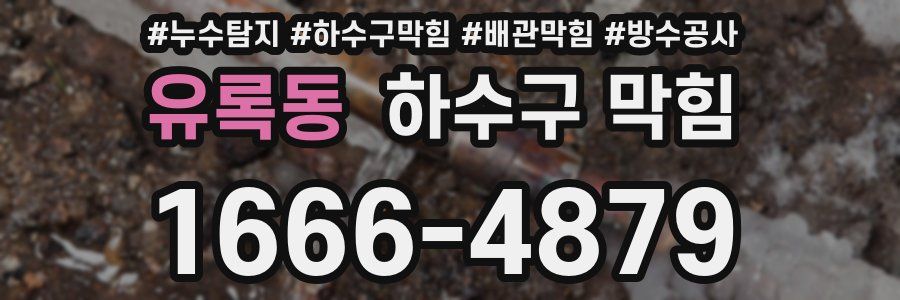유록동 하수구 막힘