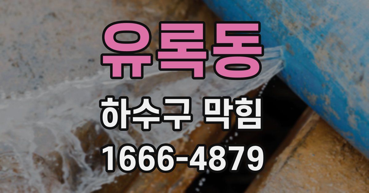 유록동 하수구 막힘