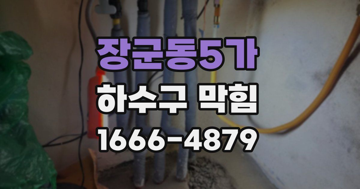 장군동5가 하수구 막힘