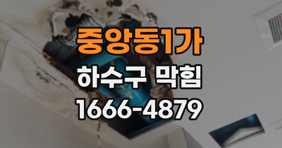 중앙동1가 하수구 막힘