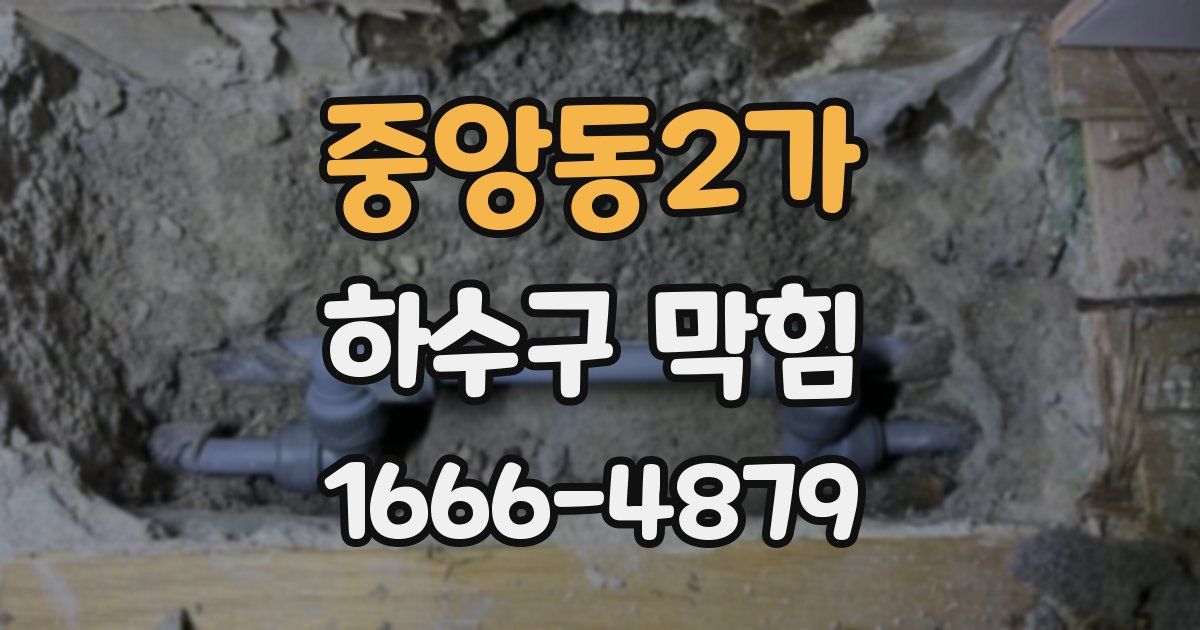 중앙동2가 하수구 막힘