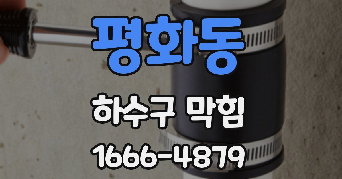 평화동 하수구 막힘