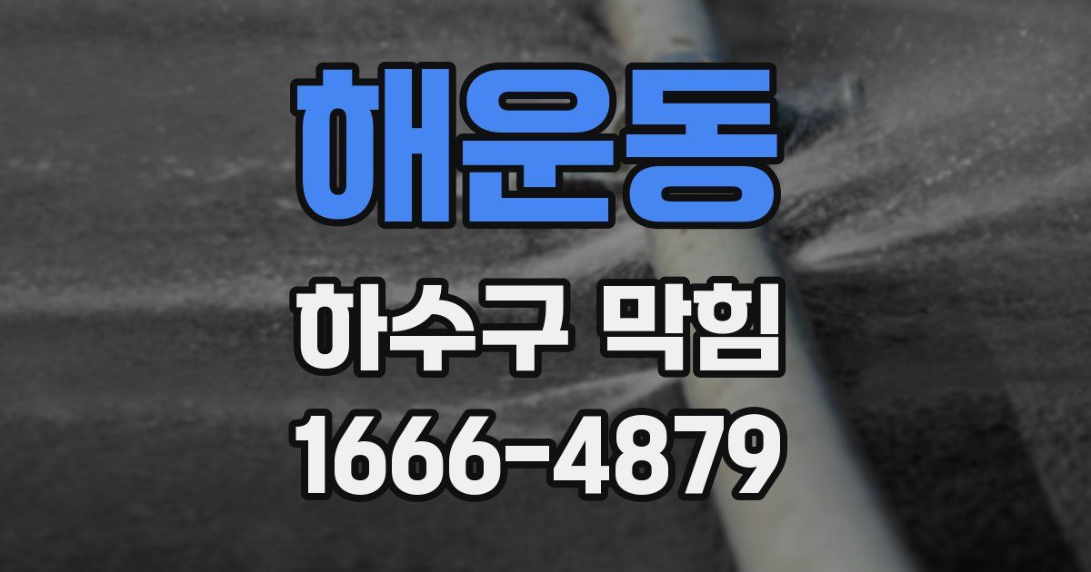 해운동 하수구 막힘