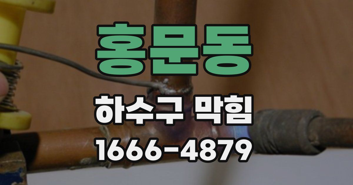 홍문동 하수구 막힘