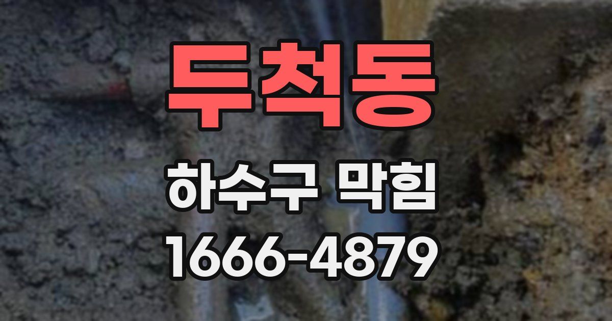 두척동 하수구 막힘