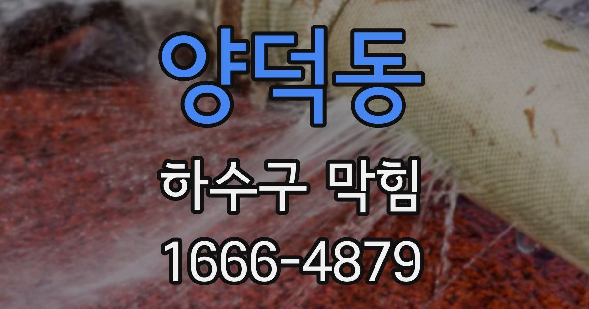 양덕동 하수구 막힘
