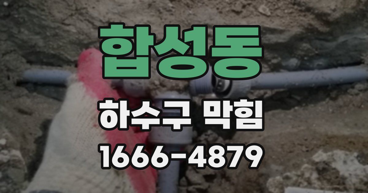 합성동 하수구 막힘