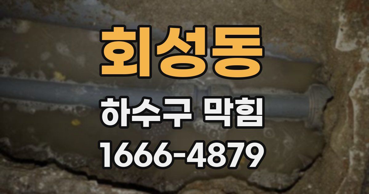 회성동 하수구 막힘