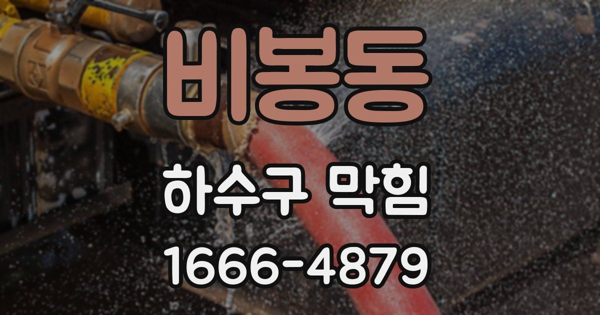 비봉동 하수구 막힘