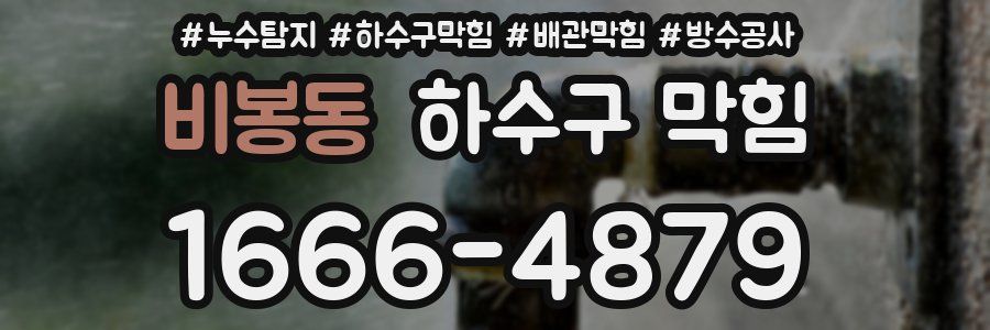 비봉동 하수구 막힘