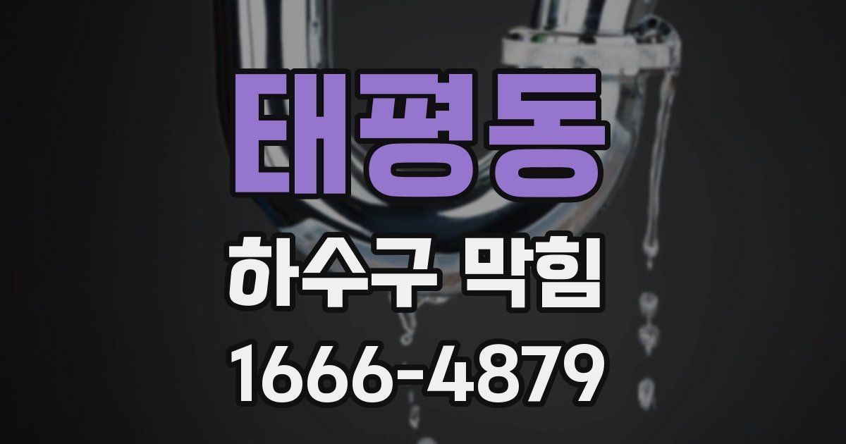 태평동 하수구 막힘