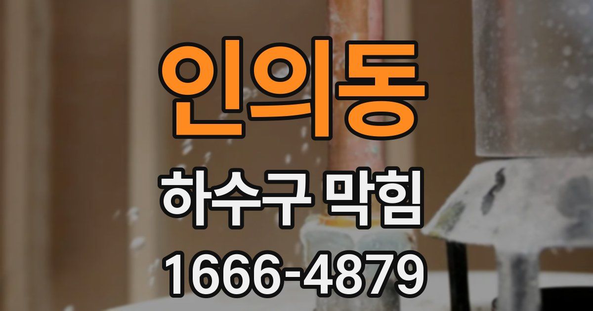 인의동 하수구 막힘
