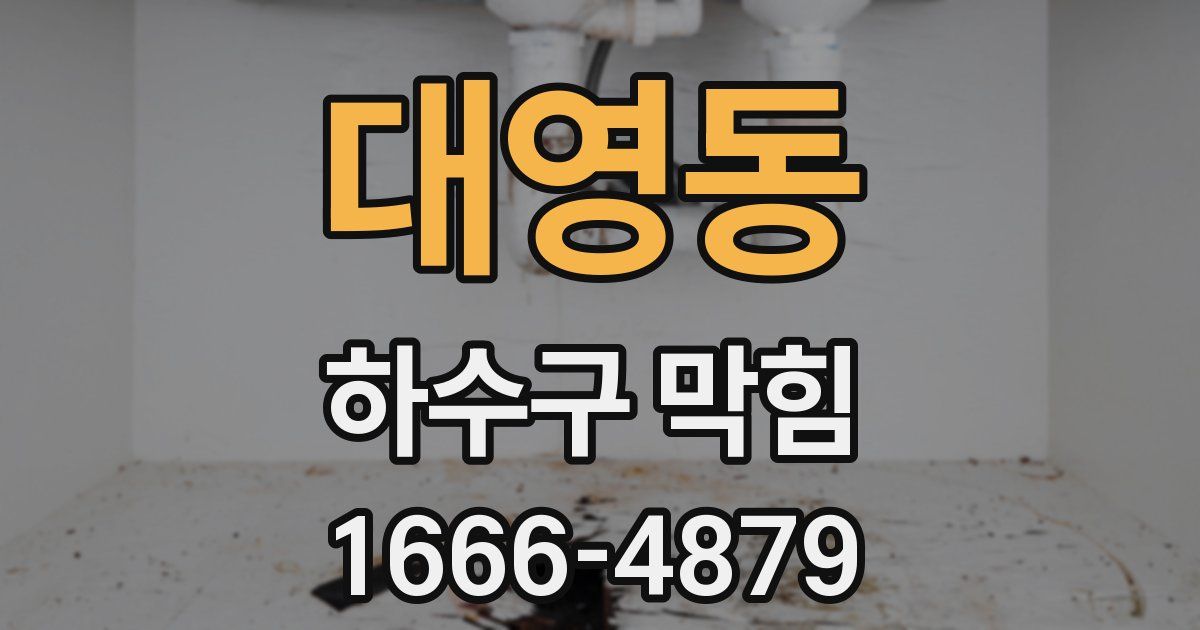 대영동 하수구 막힘