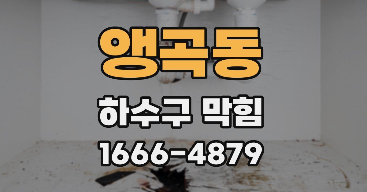 앵곡동 하수구 막힘