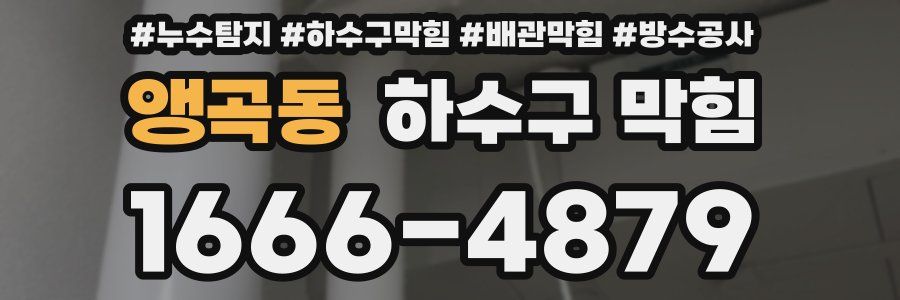 앵곡동 하수구 막힘