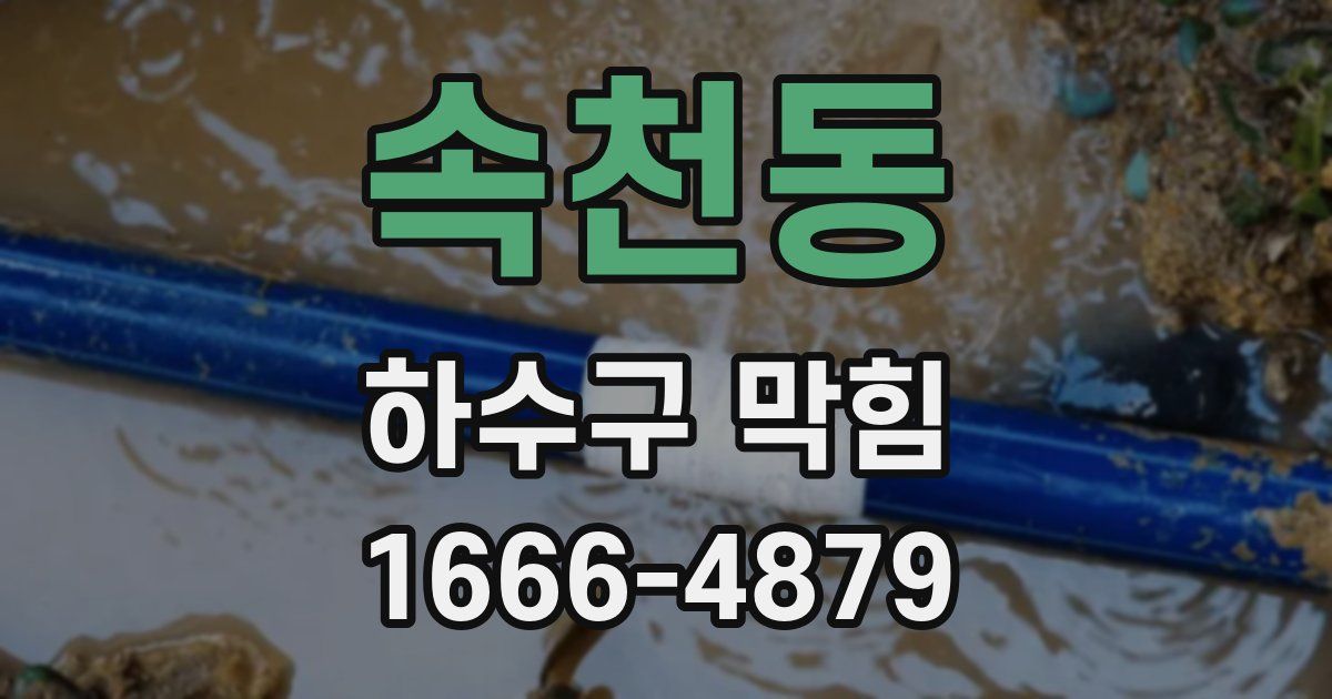 속천동 하수구 막힘