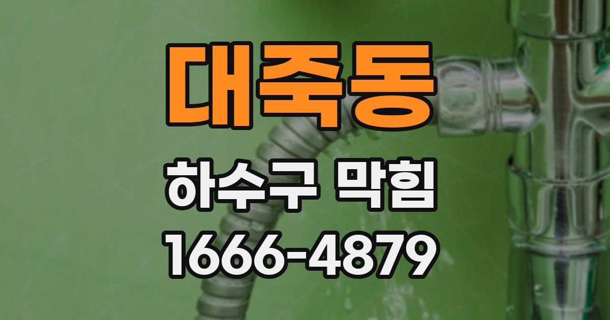 대죽동 하수구 막힘