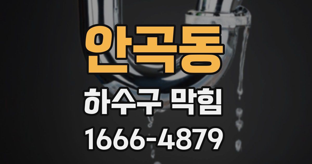 안곡동 하수구 막힘
