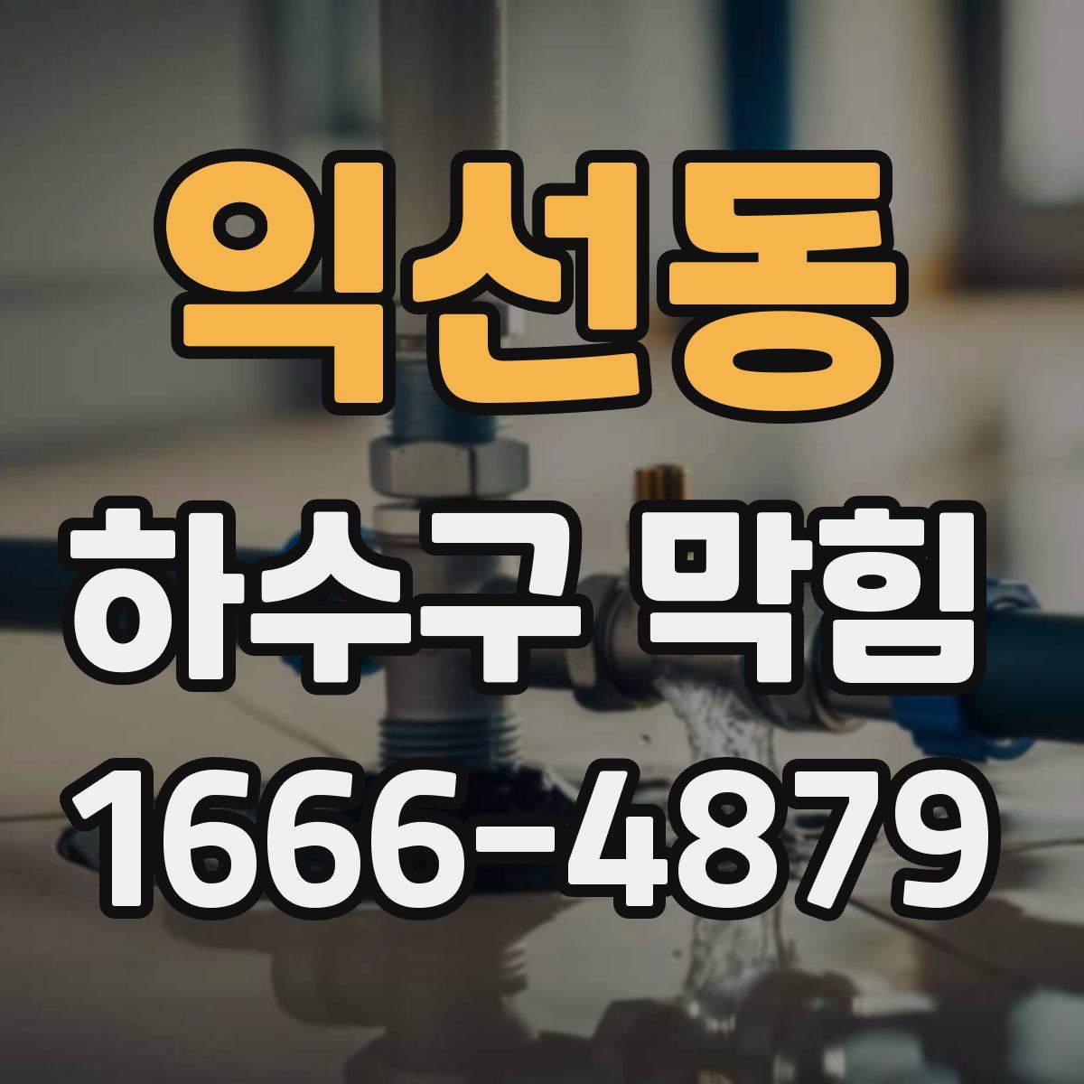 익선동 하수구 막힘