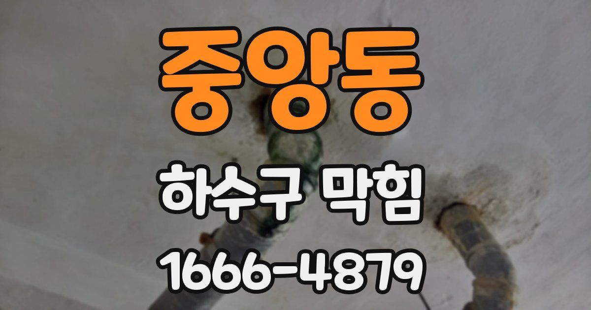 중앙동 하수구 막힘
