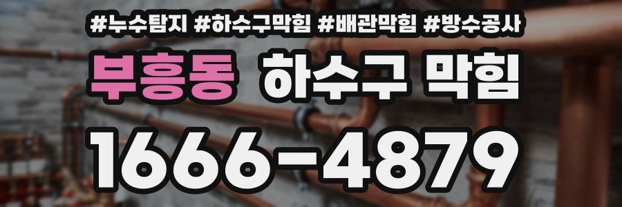 부흥동 하수구 막힘