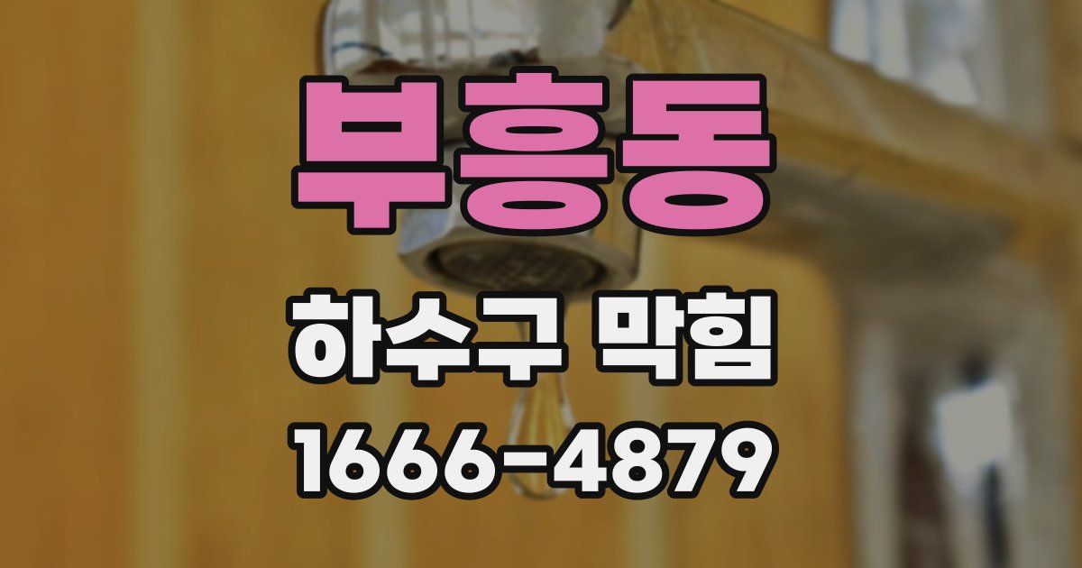 부흥동 하수구 막힘