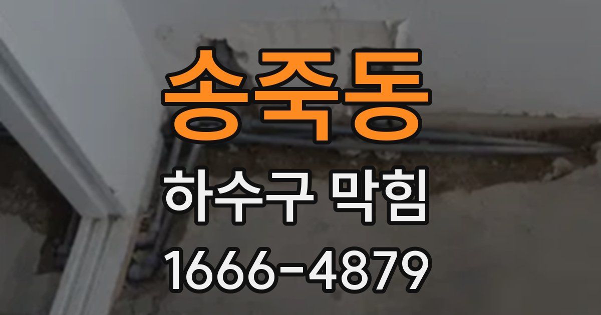 송죽동 하수구 막힘