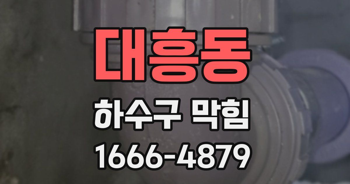 대흥동 하수구 막힘
